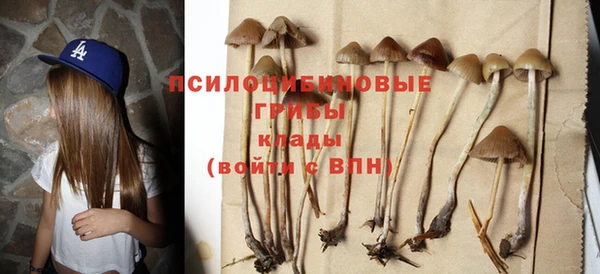 герыч Арсеньев